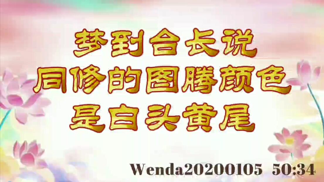 梦到台长说同修的图腾颜色是白头黄尾 wenda20200105_5034