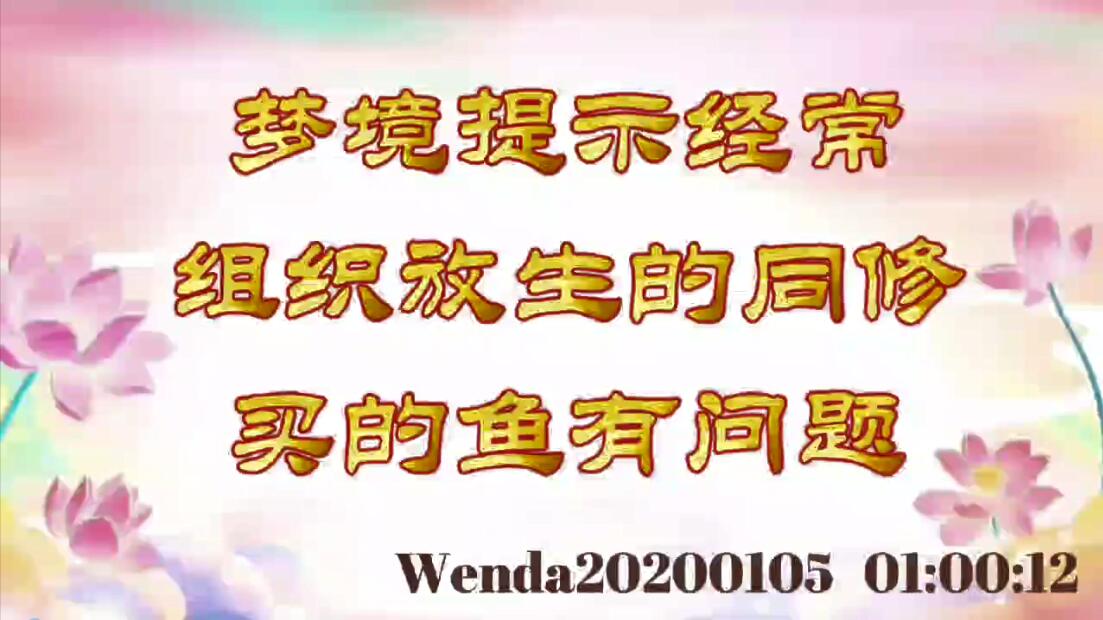 梦境提示经常组织放生的同修买的鱼有问题 wenda20200105_6012