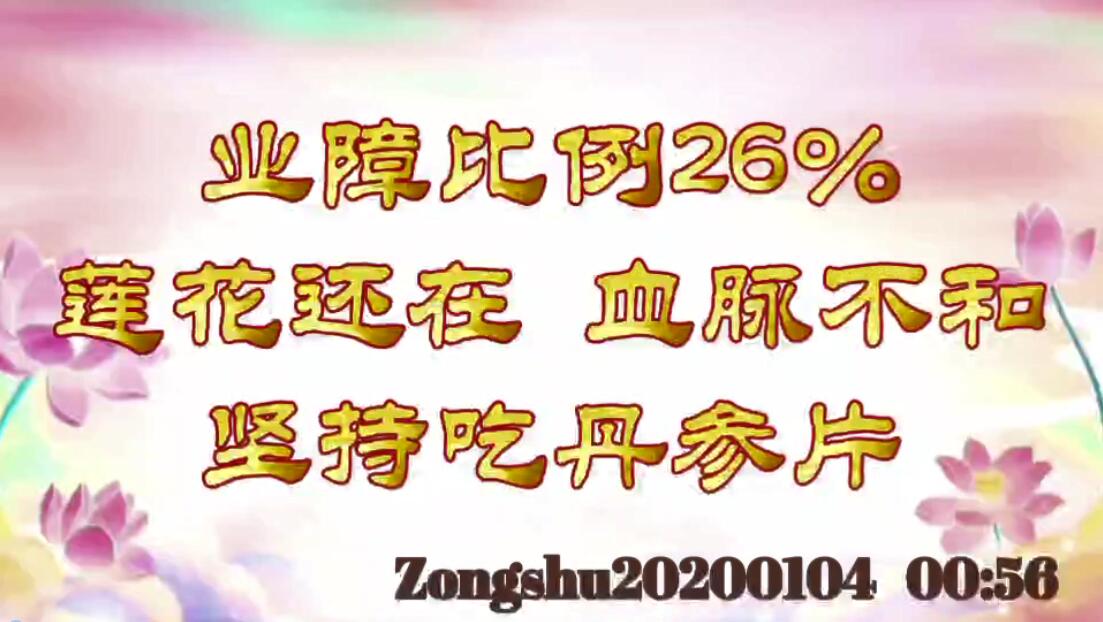 业障比例26%，莲花还在；血脉不和，坚持吃丹参片 zongshu20200104_00