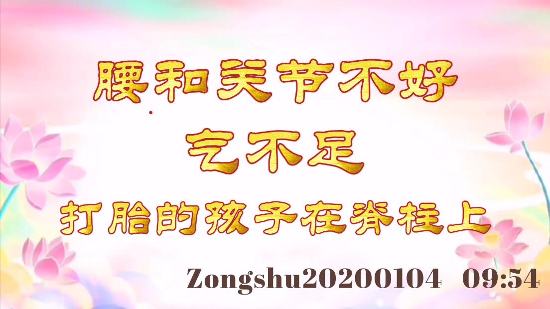 腰和关节不好，气不足；打胎的孩子在脊柱上 zongshu20200104_0954