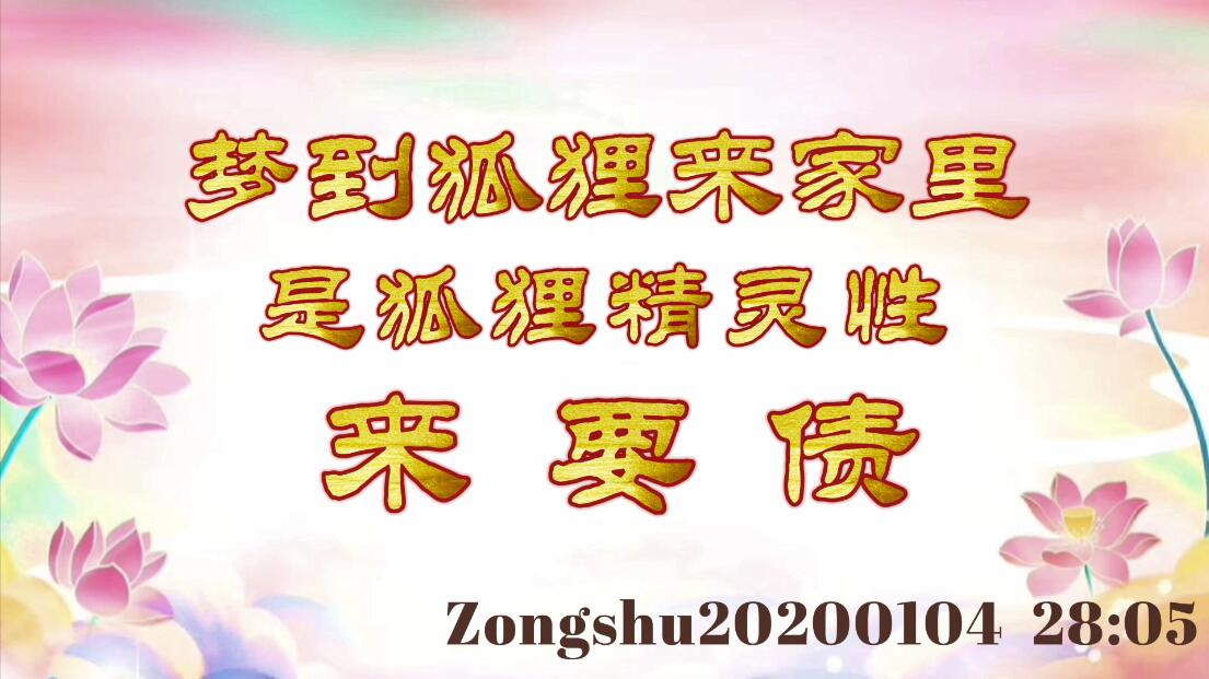 梦到狐狸来家里，是狐狸精灵性来要债 zongshu20200104_2805