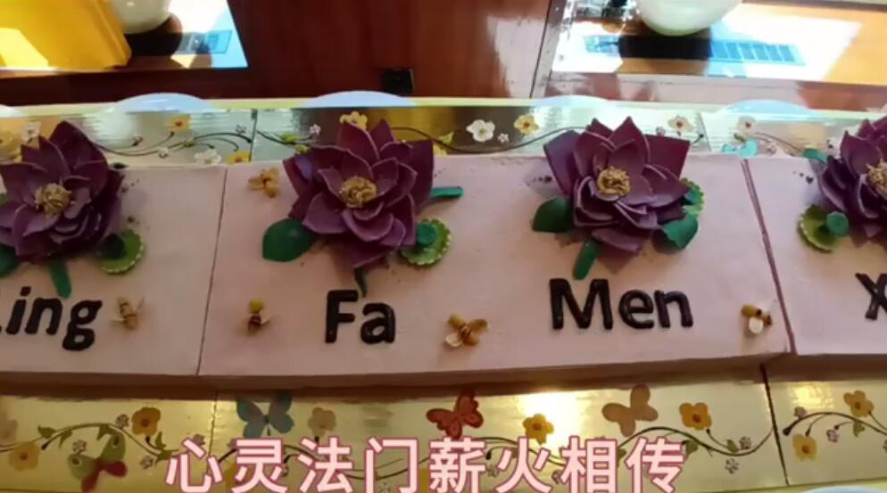 视频：133.德国斯图加特慈心素食交流分享会花絮！2023年06月06日（完整版)